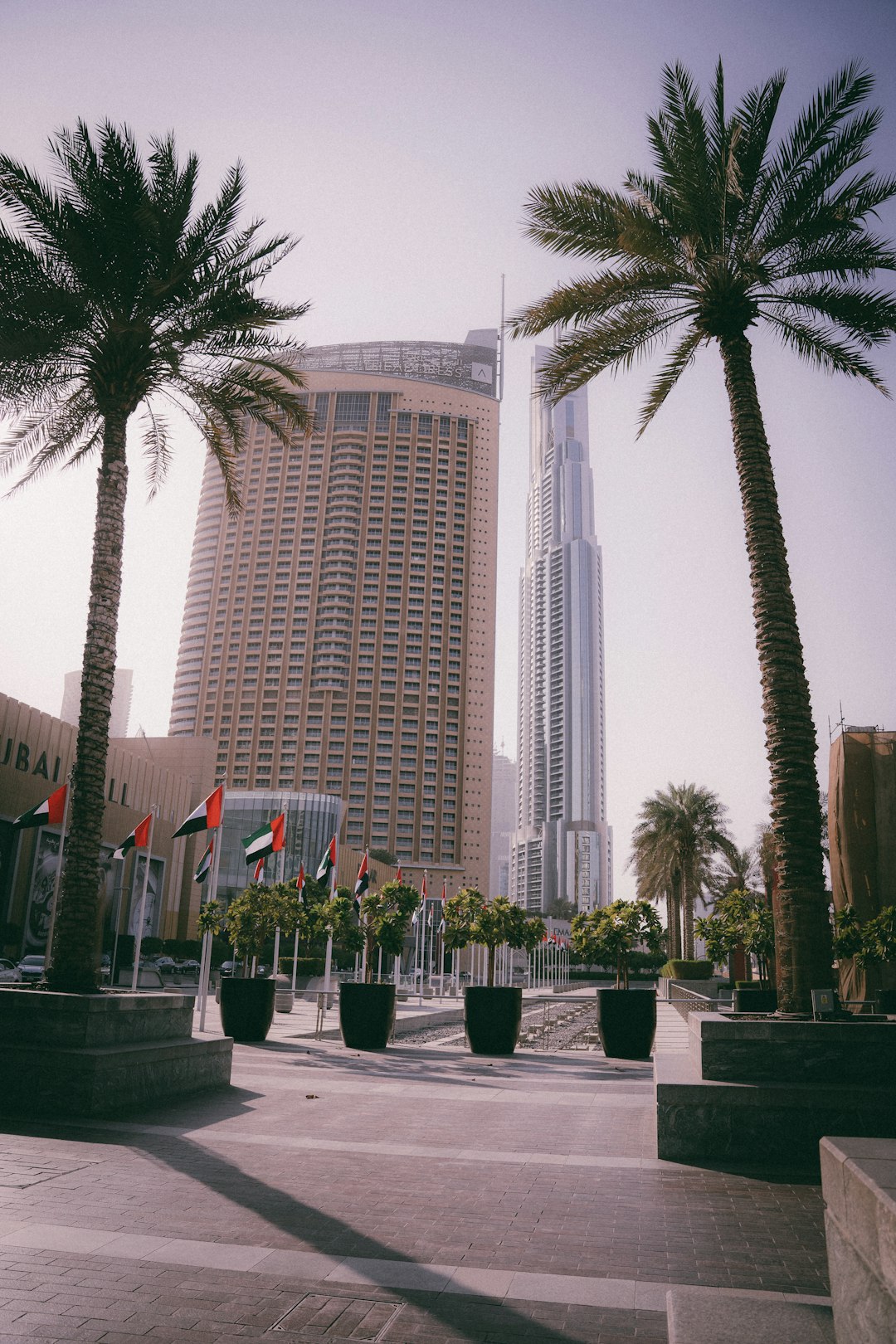 Business Setup in UAE